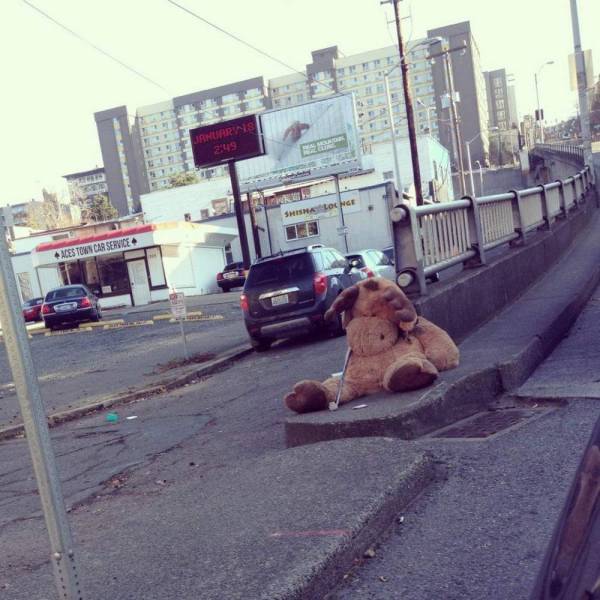 daily picdump 95 pics 2.html - 95 HD Photos | Premium Gallery 2018