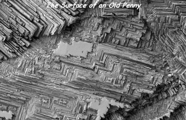 daily picdump 95 pics 2.html - 95 HD Photos | Premium Gallery 2018