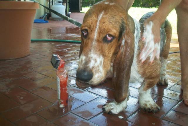 daily picdump 95 pics 2.html - 95 HD Photos | Premium Gallery 2018