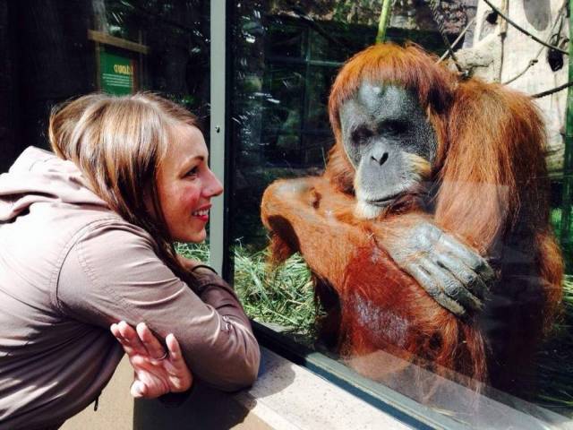 daily picdump 95 pics 2.html - 95 HD Photos | Premium Gallery 2018