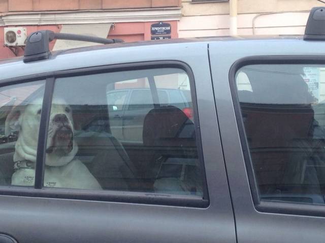 daily picdump 95 pics 2.html - 95 HD Photos | Premium Gallery 2018