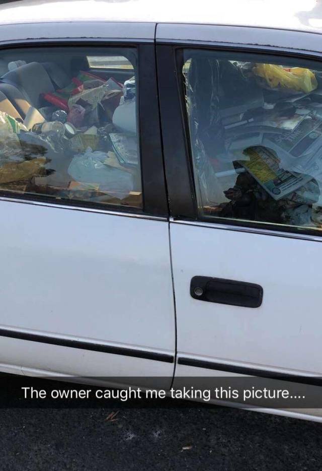 daily picdump 95 pics 2.html - 95 HD Photos | Premium Gallery 2018