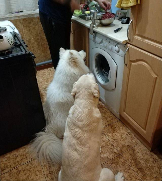 daily picdump 95 pics 2.html - 95 HD Photos | Premium Gallery 2018