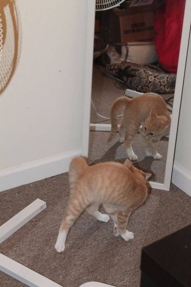 daily picdump 95 pics 2.html - 95 HD Photos | Premium Gallery 2018