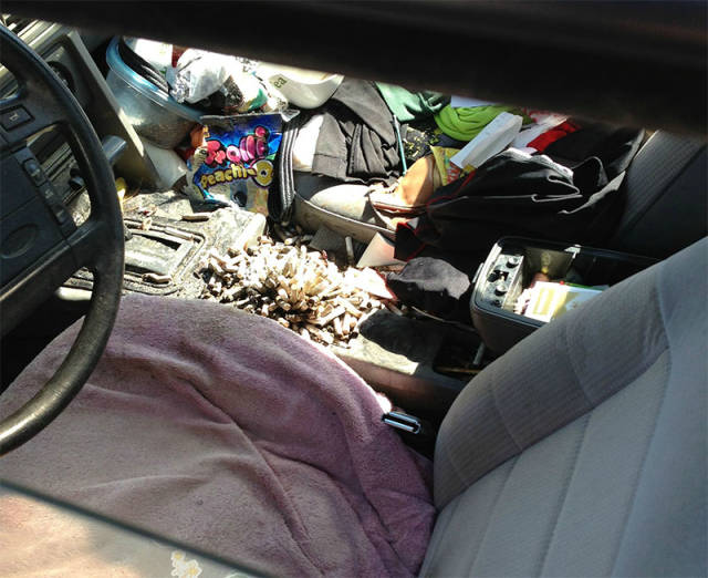 morning picdump 52 pics 7.html - 52 HD Photos | Premium Gallery 2018