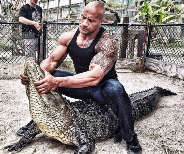 morning picdump 52 pics 7.html - 52 HD Photos | Premium Gallery 2018