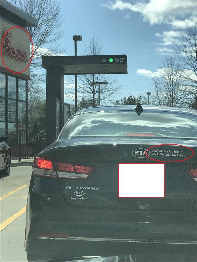 morning picdump 52 pics 7.html - 52 HD Photos | Premium Gallery 2018