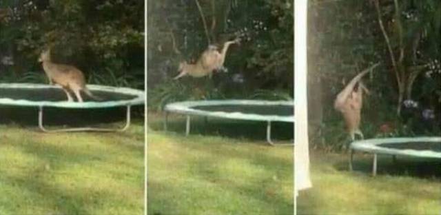 daily picdump weekend edition 62 pics 11.html - 62 HD Photos | Premium Gallery 2018