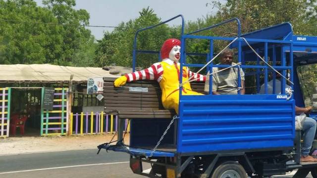 daily picdump weekend edition 62 pics 11.html - 62 HD Photos | Premium Gallery 2018