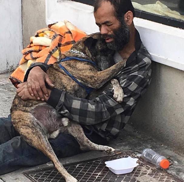 daily picdump weekend edition 62 pics 11.html - 62 HD Photos | Premium Gallery 2018