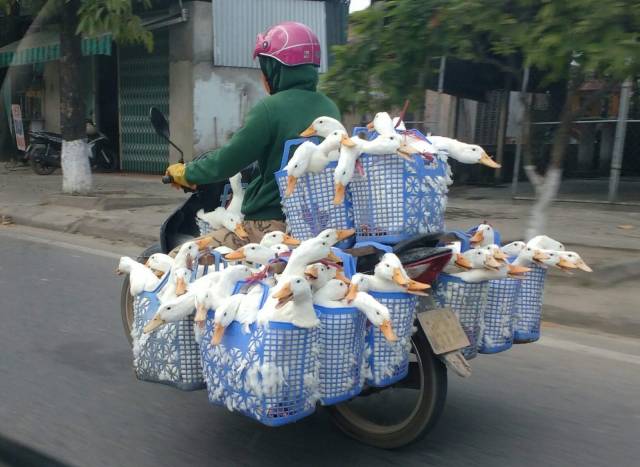 daily picdump weekend edition 62 pics 11.html - 62 HD Photos | Premium Gallery 2018