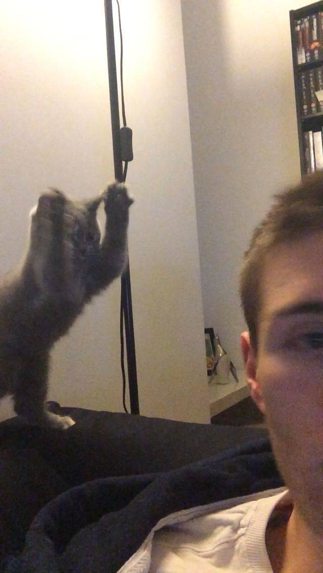 Daily Picdump [WEEKEND EDITION]