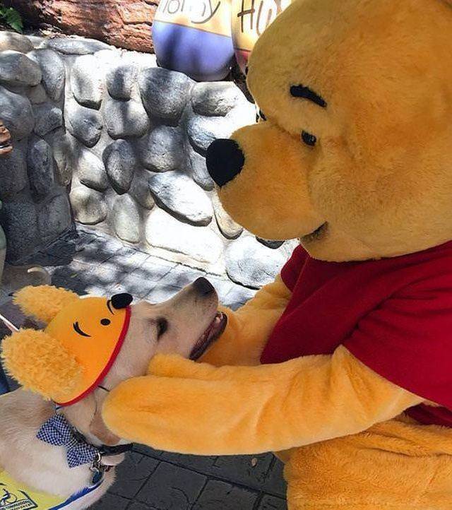 Daily Picdump [WEEKEND EDITION]