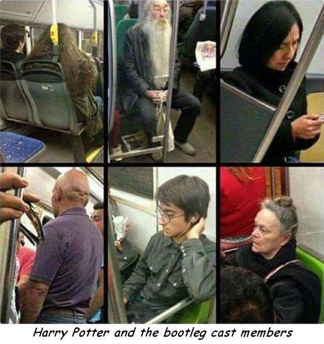 daily picdump weekend edition 62 pics 11.html - 62 HD Photos | Premium Gallery 2018