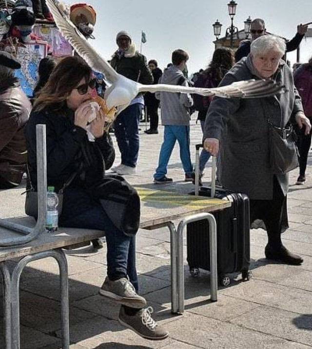 daily picdump weekend edition 62 pics 11.html - 62 HD Photos | Premium Gallery 2018