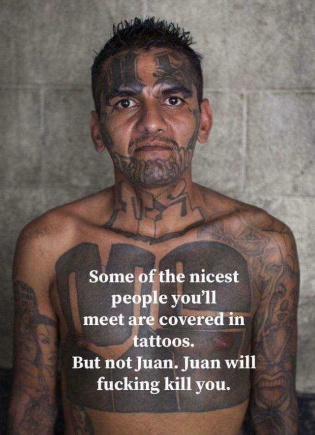 daily picdump weekend edition 62 pics 11.html - 62 HD Photos | Premium Gallery 2018