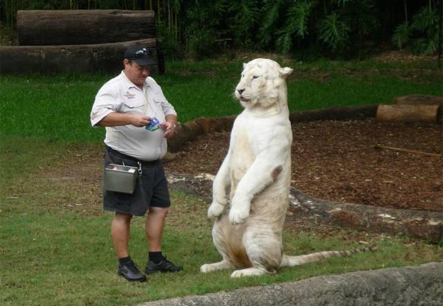 daily picdump 98 pics 11.html - 98 HD Photos | Premium Gallery 2018