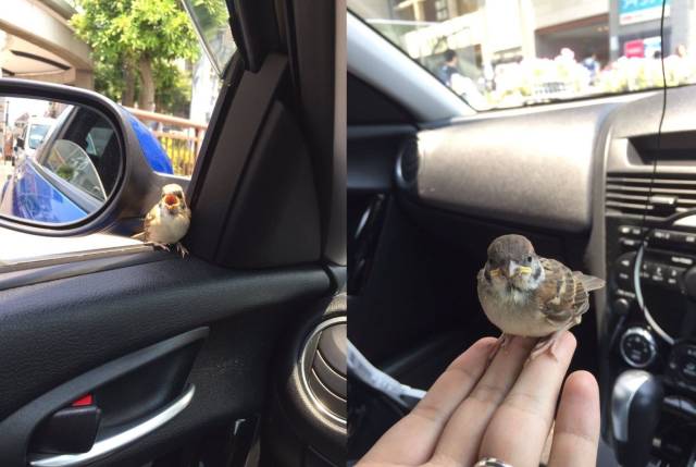 daily picdump 98 pics 11.html - 98 HD Photos | Premium Gallery 2018