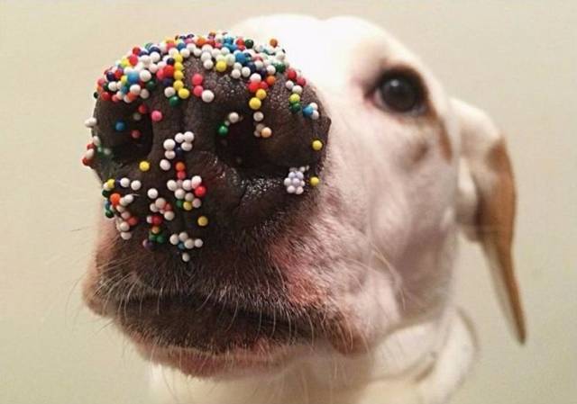 daily picdump 98 pics 11.html - 98 HD Photos | Premium Gallery 2018