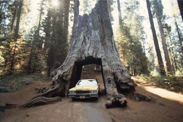 daily picdump 98 pics 11.html - 98 HD Photos | Premium Gallery 2018