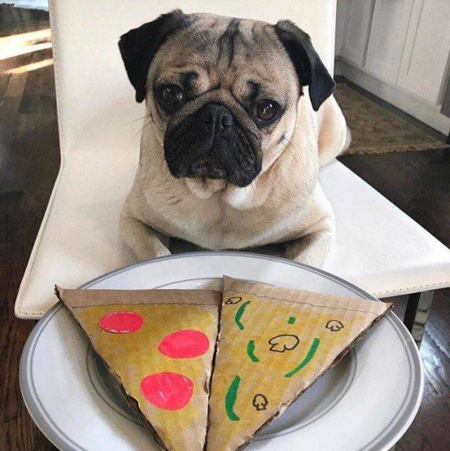 daily picdump 98 pics 11.html - 98 HD Photos | Premium Gallery 2018