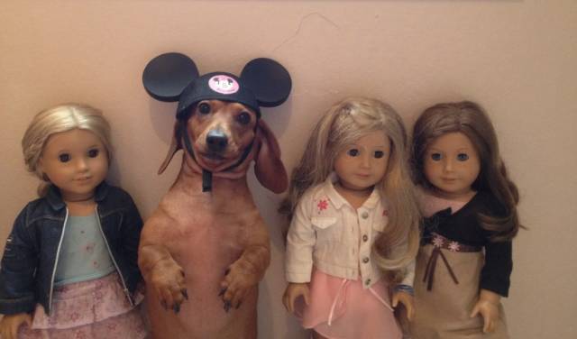 daily picdump 96 pics 46.html - 96 HD Photos | Premium Gallery 2018