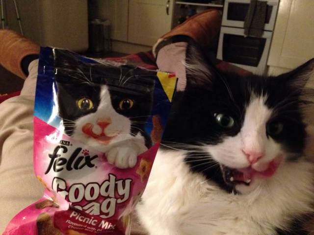 daily picdump 96 pics 46.html - 96 HD Photos | Premium Gallery 2018