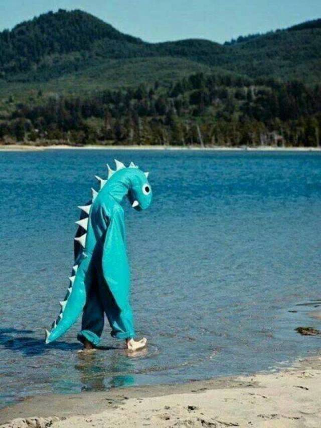 daily picdump 96 pics 46.html - 96 HD Photos | Premium Gallery 2018