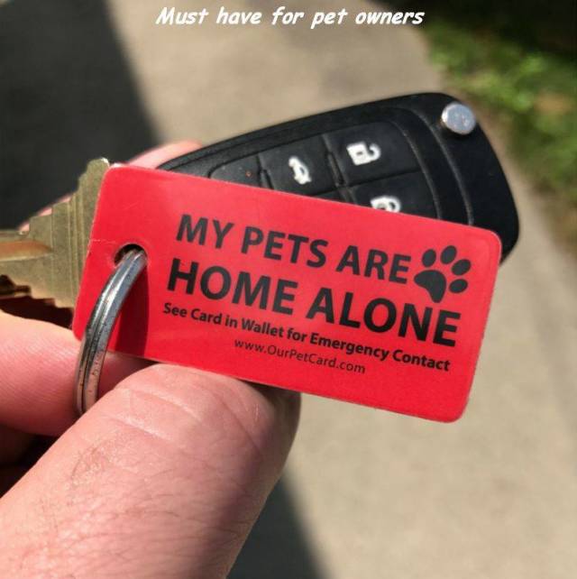 daily picdump 96 pics 46.html - 96 HD Photos | Premium Gallery 2018