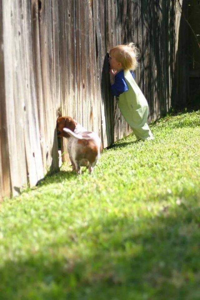 daily picdump 96 pics 46.html - 96 HD Photos | Premium Gallery 2018