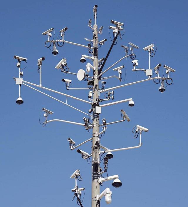 daily picdump 96 pics 46.html - 96 HD Photos | Premium Gallery 2018