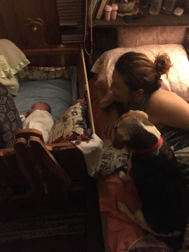 morning picdump 52 pics 21.html - 52 HD Photos | Premium Gallery 2018