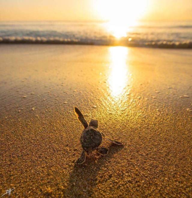 morning picdump 52 pics 21.html - 52 HD Photos | Premium Gallery 2018