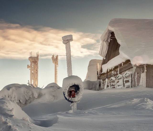 daily picdump 99 pics 41.html - 99 HD Photos | Premium Gallery 2018