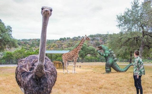 daily picdump 98 pics 46.html - 98 HD Photos | Premium Gallery 2018