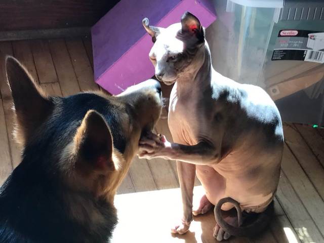 daily picdump 98 pics 46.html - 98 HD Photos | Premium Gallery 2018