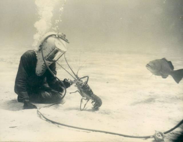 daily picdump 98 pics 46.html - 98 HD Photos | Premium Gallery 2018