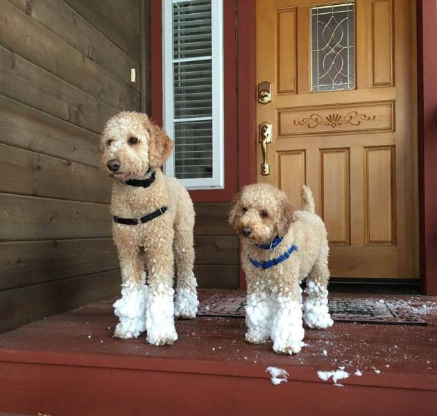 daily picdump 98 pics 46.html - 98 HD Photos | Premium Gallery 2018