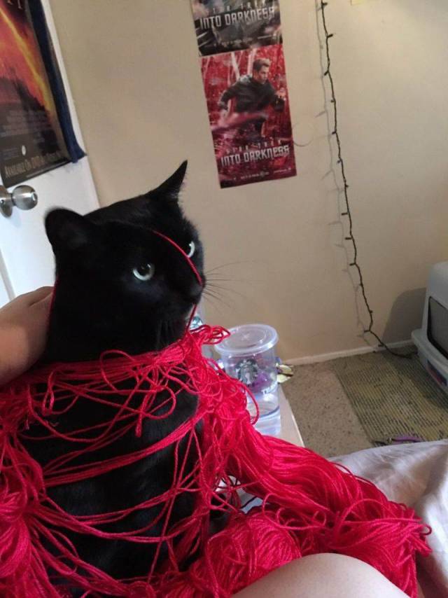 daily picdump 98 pics 46.html - 98 HD Photos | Premium Gallery 2018