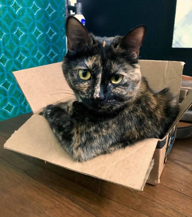 daily picdump 98 pics 46.html - 98 HD Photos | Premium Gallery 2018