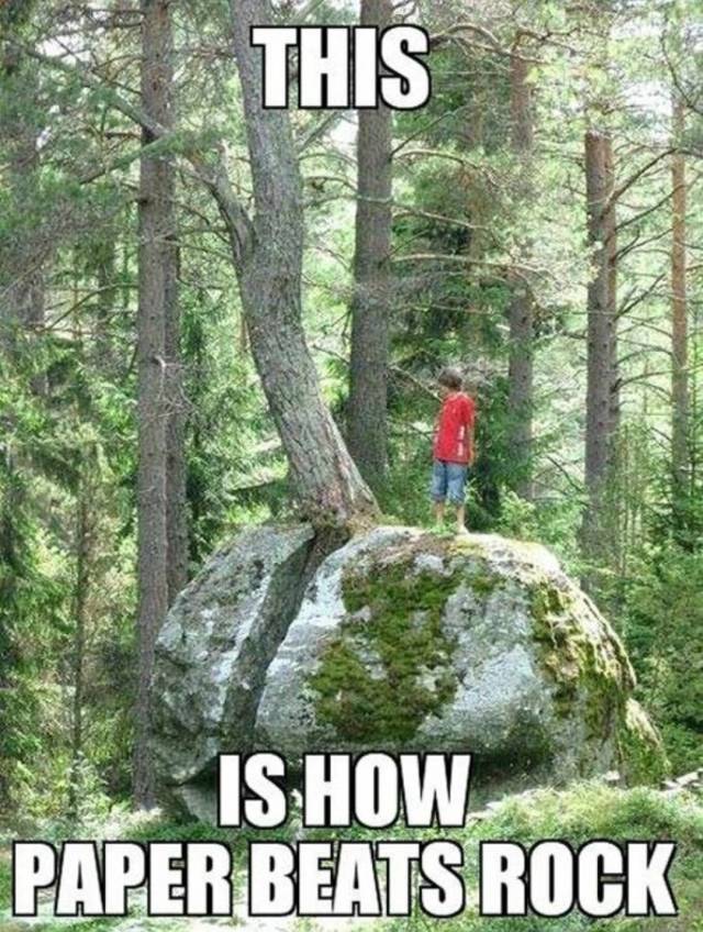 funny picdump 51 pics 1.html - 51 HD Photos | Premium Gallery 2018