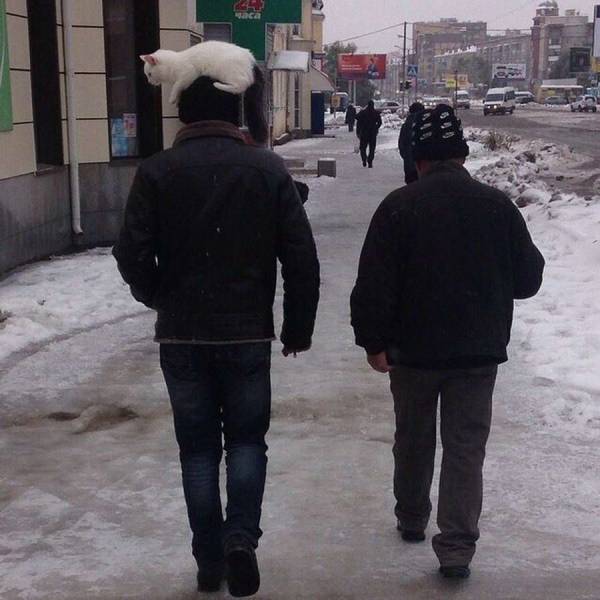 daily picdump 98 pics 15.html - 98 HD Photos | Premium Gallery 2018