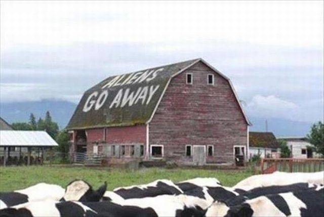 daily picdump 98 pics 15.html - 98 HD Photos | Premium Gallery 2018