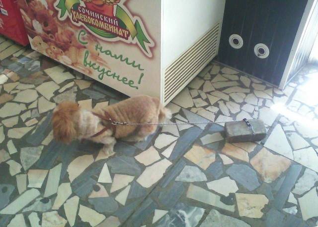 daily picdump 98 pics 15.html - 98 HD Photos | Premium Gallery 2018