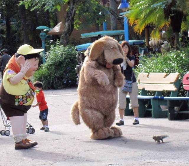 daily picdump 98 pics 15.html - 98 HD Photos | Premium Gallery 2018