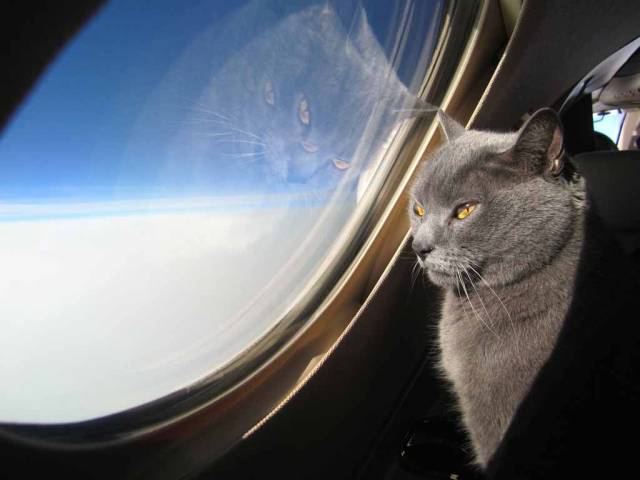 daily picdump 98 pics 15.html - 98 HD Photos | Premium Gallery 2018