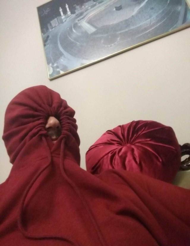 daily picdump 98 pics 15.html - 98 HD Photos | Premium Gallery 2018