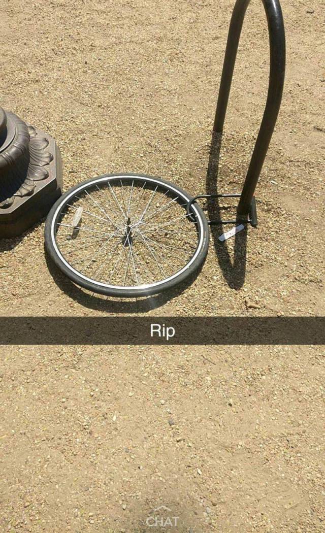 daily picdump 98 pics 15.html - 98 HD Photos | Premium Gallery 2018