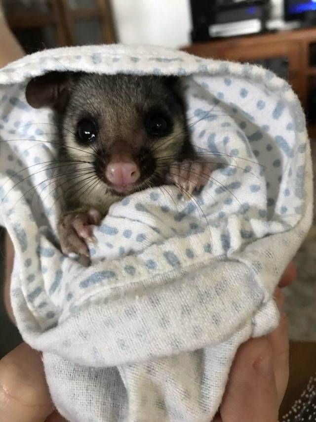 daily picdump 98 pics 15.html - 98 HD Photos | Premium Gallery 2018