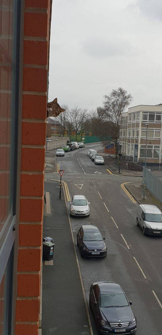 daily picdump 98 pics 15.html - 98 HD Photos | Premium Gallery 2018